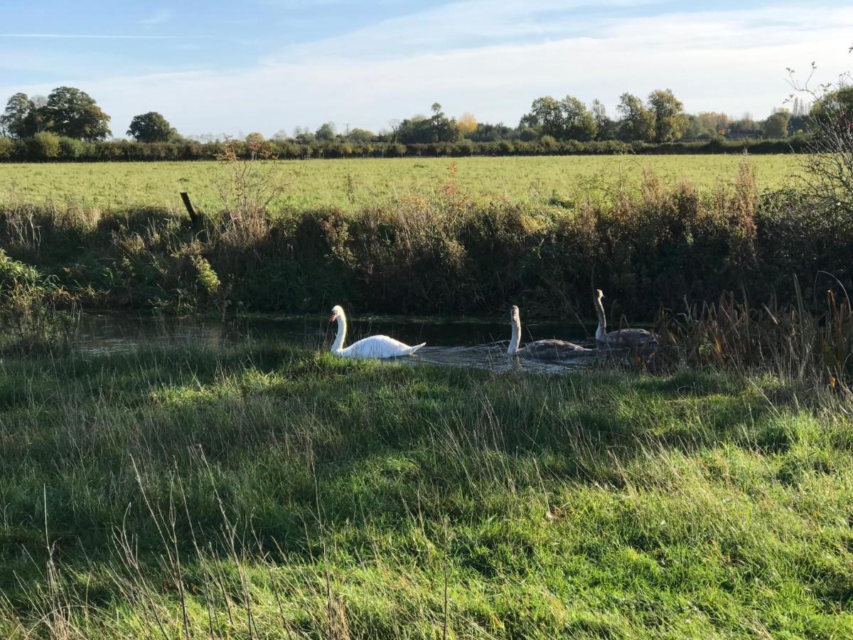 Tupenny Cottage, Old Mill Farm, Cotswold Water Park Cirencester Eksteriør bilde