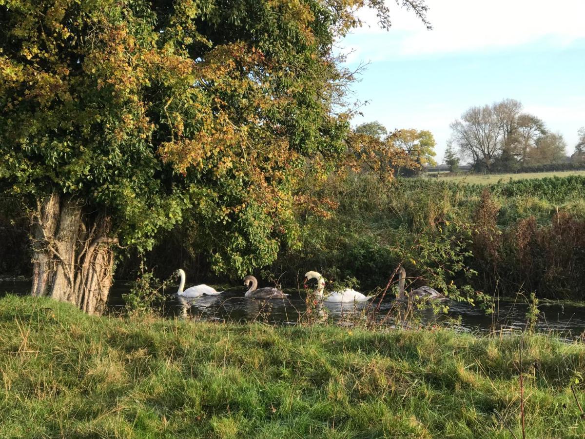 Tupenny Cottage, Old Mill Farm, Cotswold Water Park Cirencester Eksteriør bilde